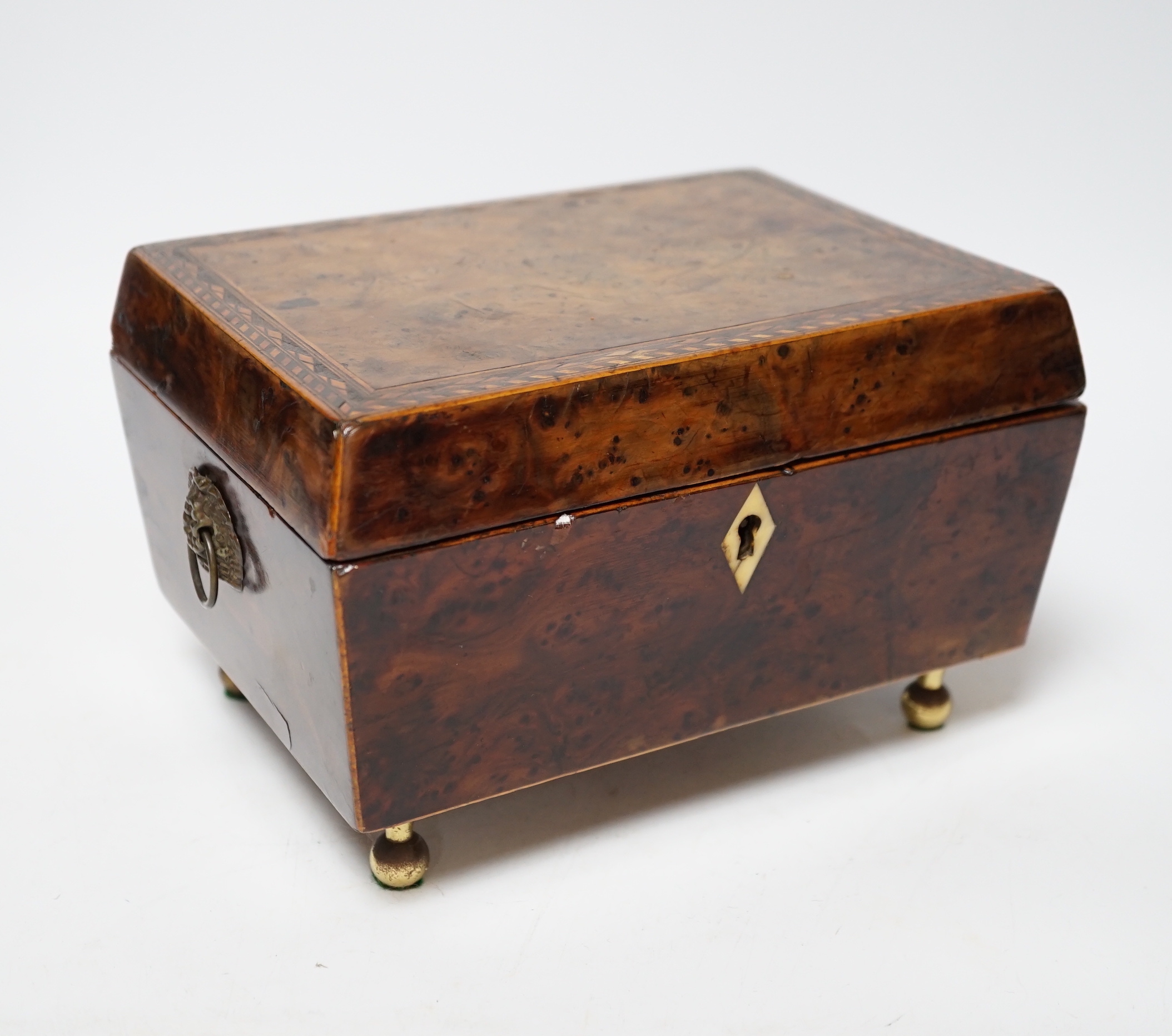 A Regency banded burr yew tea caddy, Ivory escutcheon, 20cm wide CITES Submission reference 4NYKHDBU